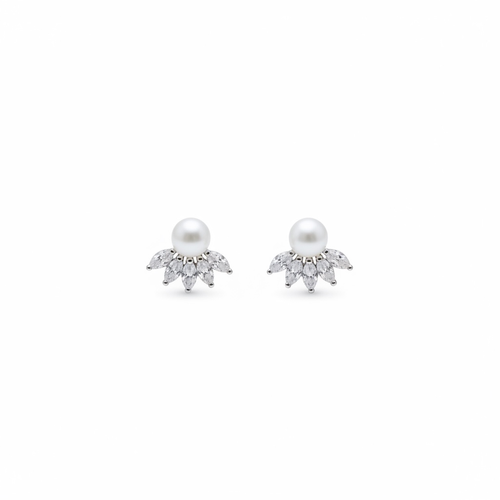Photoroom_20260312_182502.PNG